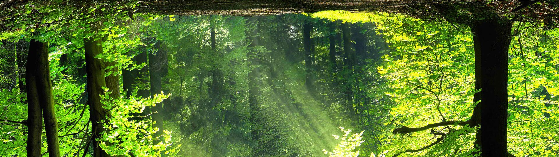 Tiefenpsychologie Praxis für Psychotherapie (TP)      