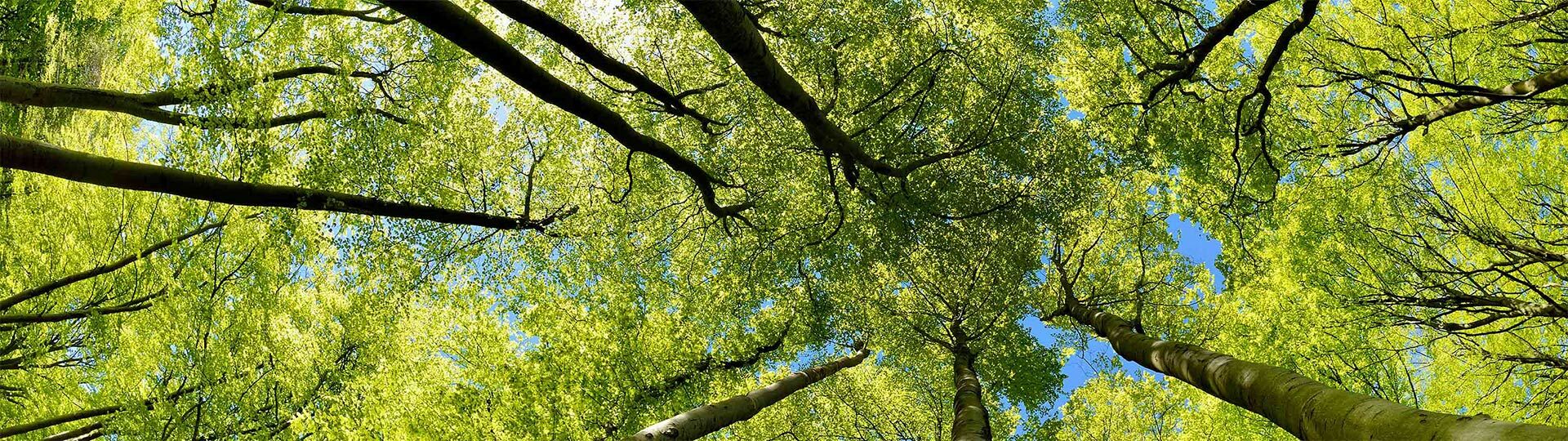 Gruppentherapie Praxis für Psychotherapie (TP)      